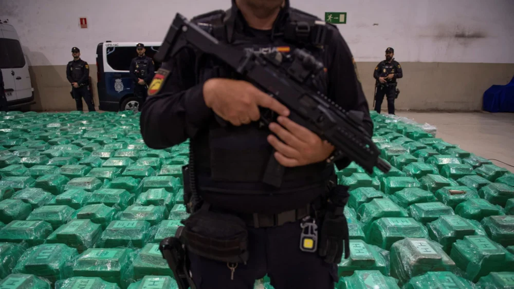 Transnational Criminal Networks: A Pervasive Threat to European Stability and Security