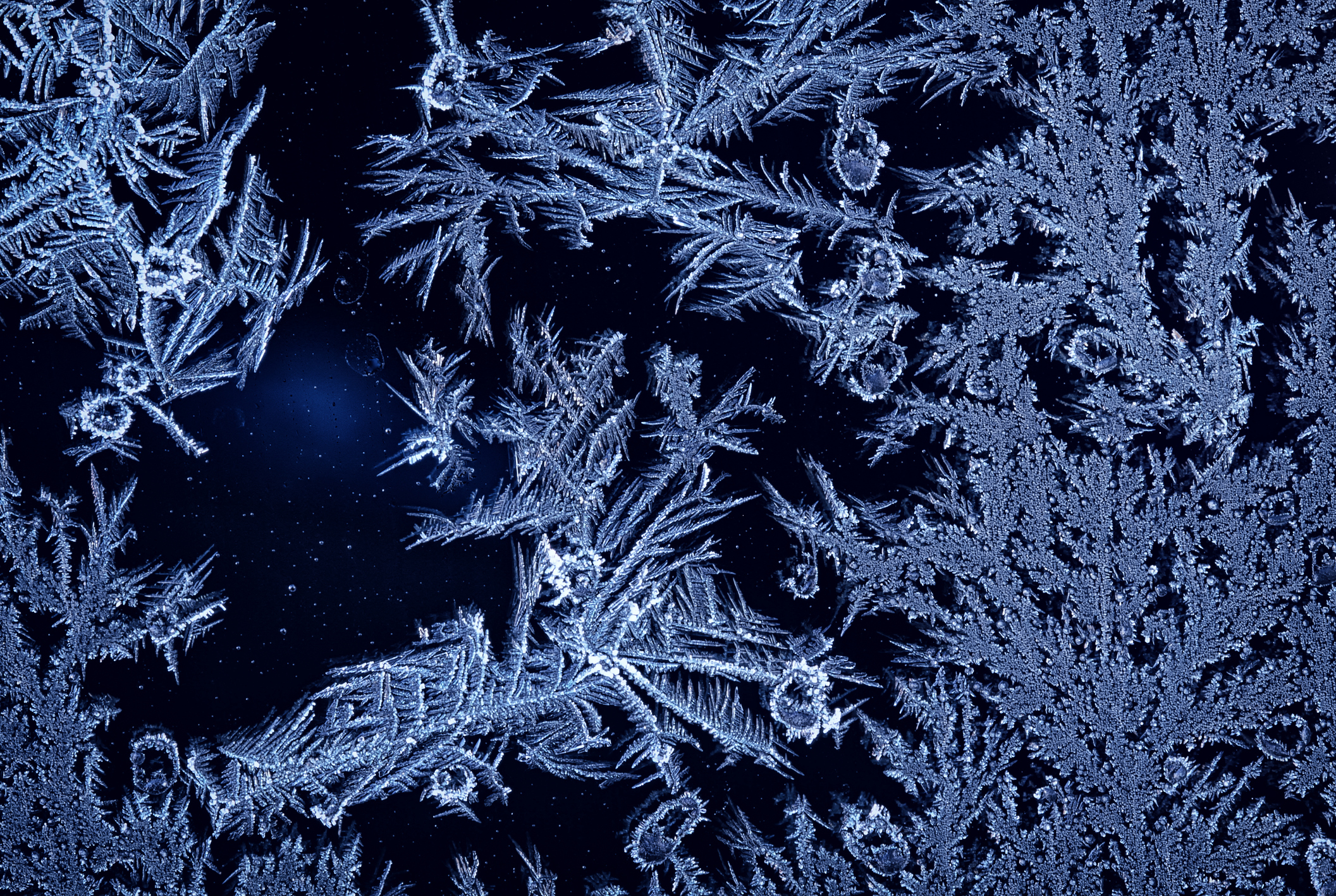 A Perfect Storm Brewing: Examining the Forces Behind an Imminent, Potentially Devastating Winter Weather Event Across the United States