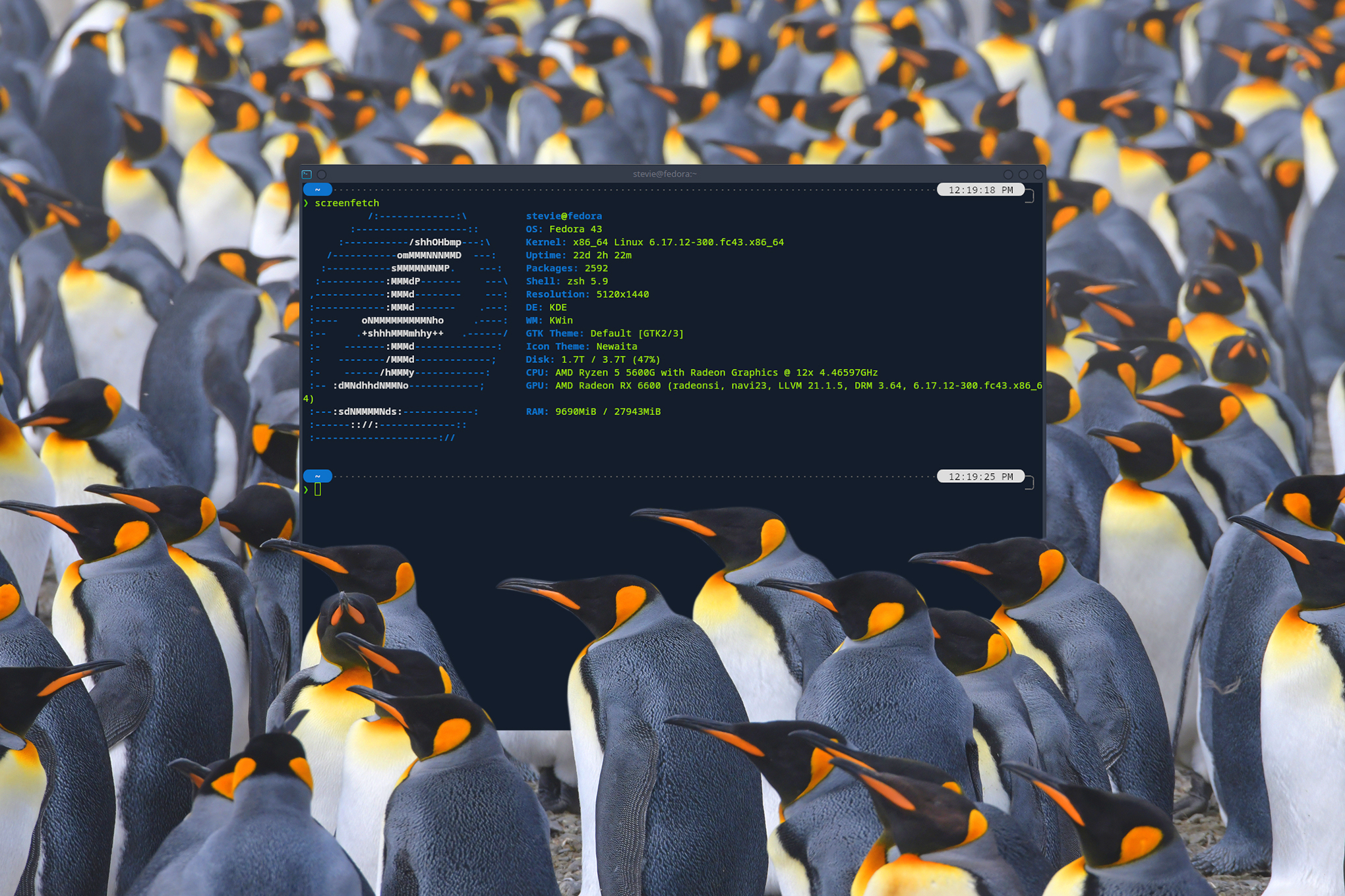 A Year of Uninterrupted Evolution: My Journey Beyond the Familiar Windows Landscape