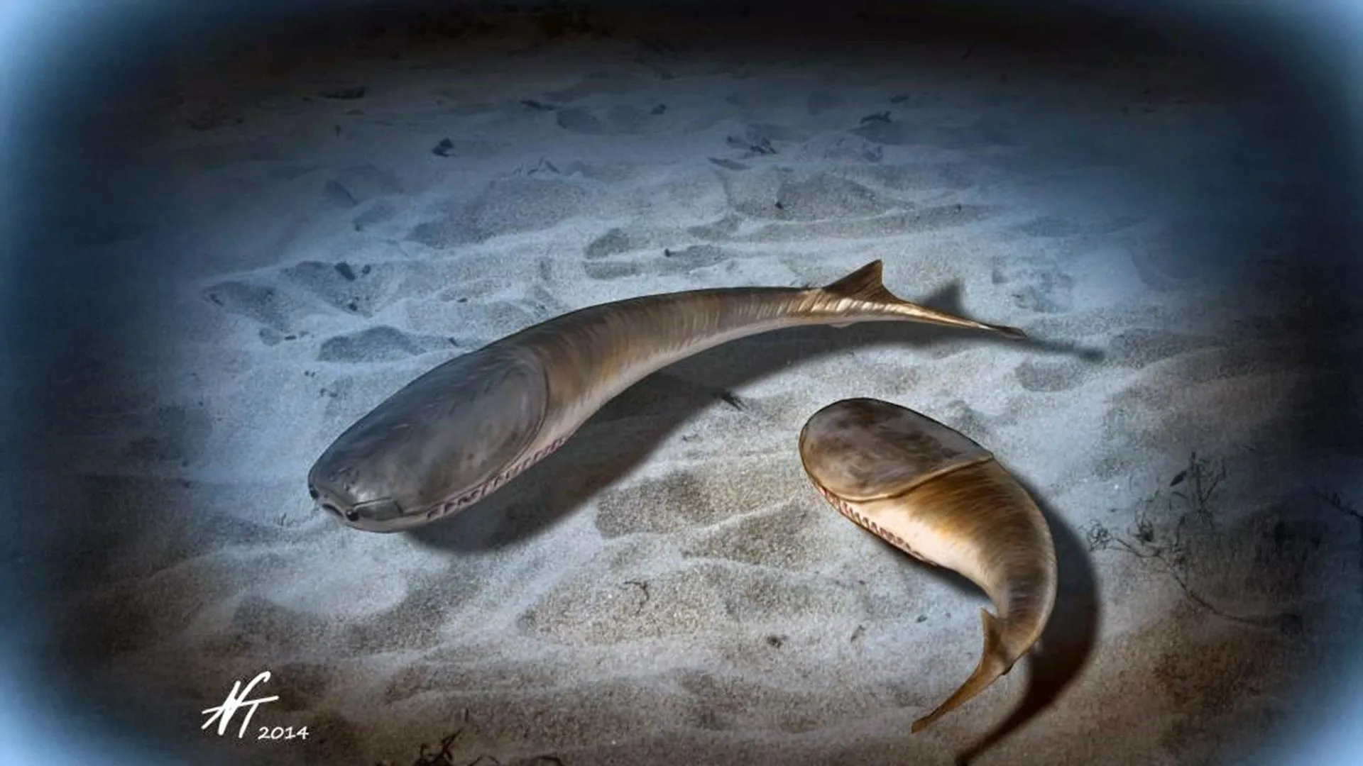 Cataclysmic Collapse: How Ancient Oceans’ Demise Forged the Vertebrate Lineage