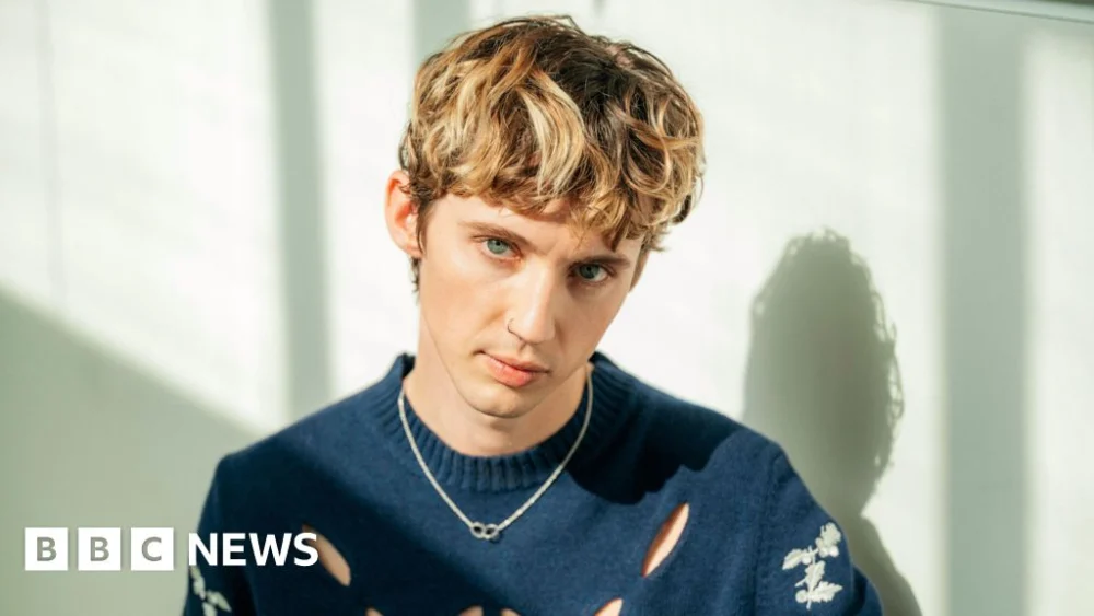 Digital Ethics Under Scrutiny: Cosmetic Physician’s Public Critique of Troye Sivan Ignites Debate on Celebrity Image and Professional Responsibility
