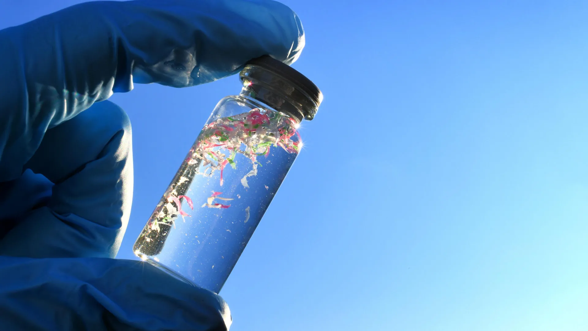 Microplastic Infiltration: A Latent Threat to Oceanic Carbon Sequestration