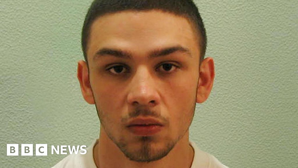 Ministerial Veto Underscores Public Protection Imperative in High-Profile Offender Reintegration