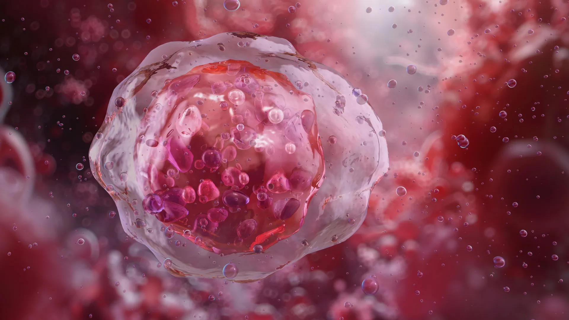 Pioneering AI Unlocks Precision Diagnostics for Microscopic Blood Anomalies