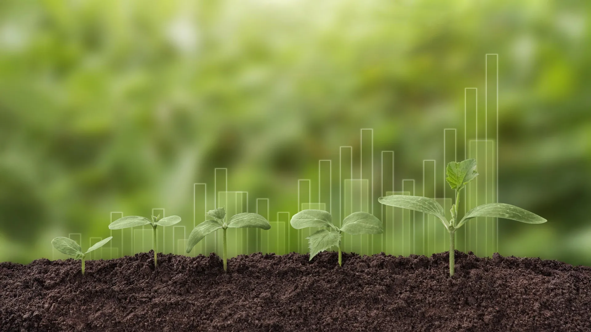 Revised Estimates Reveal Earth’s Terrestrial Carbon Sink Less Robust Than Anticipated, Imperiling Climate Projections