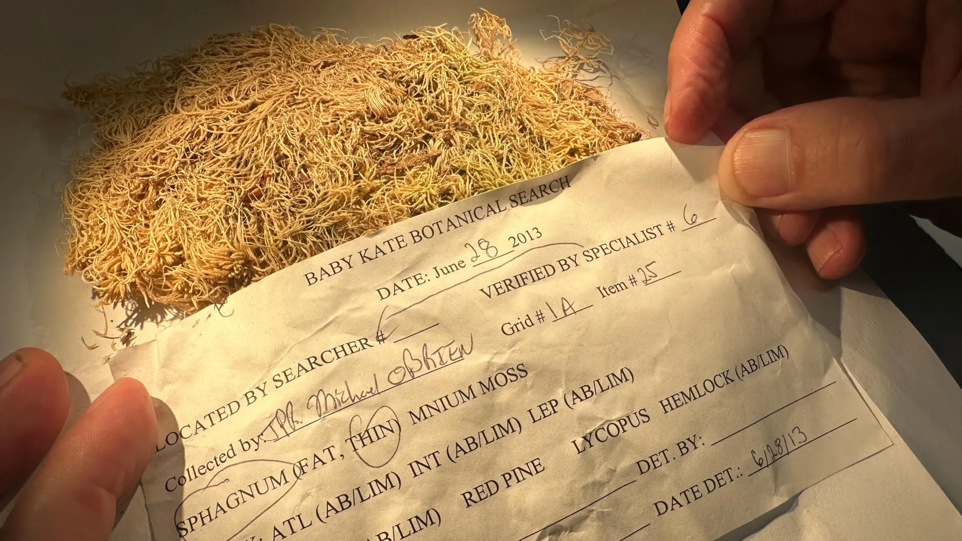 The Silent Witnesses: How Microscopic Flora Are Revolutionizing Forensic Investigations