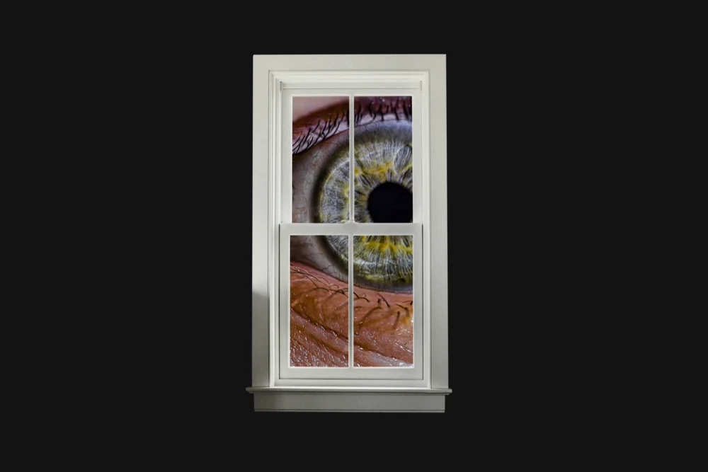 America’s Digital Frontier Demands a New Era of Privacy Safeguards