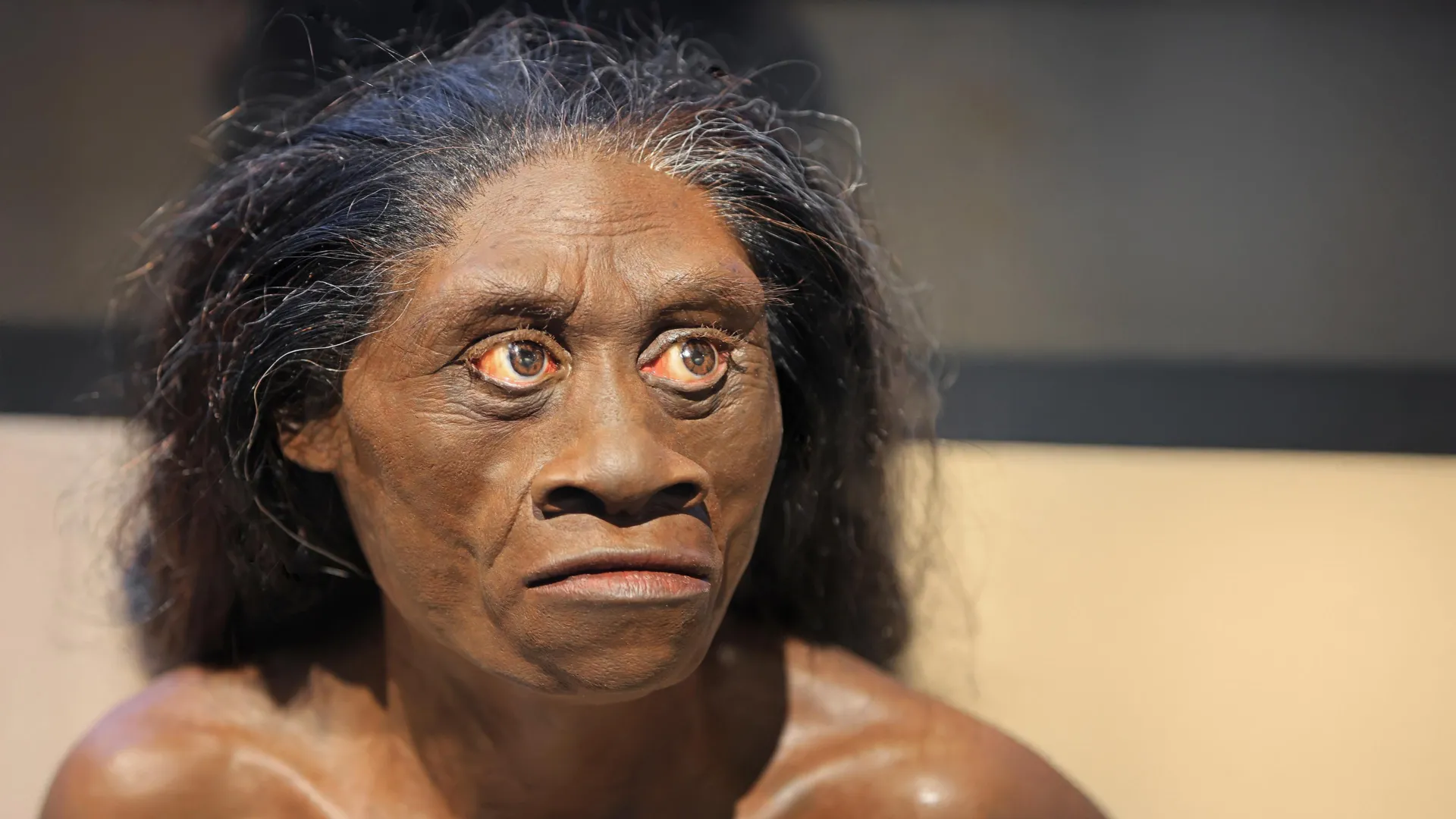 Climatic Catastrophe: A Protracted Drought’s Role in the Demise of Homo floresiensis 61 Millennia Ago
