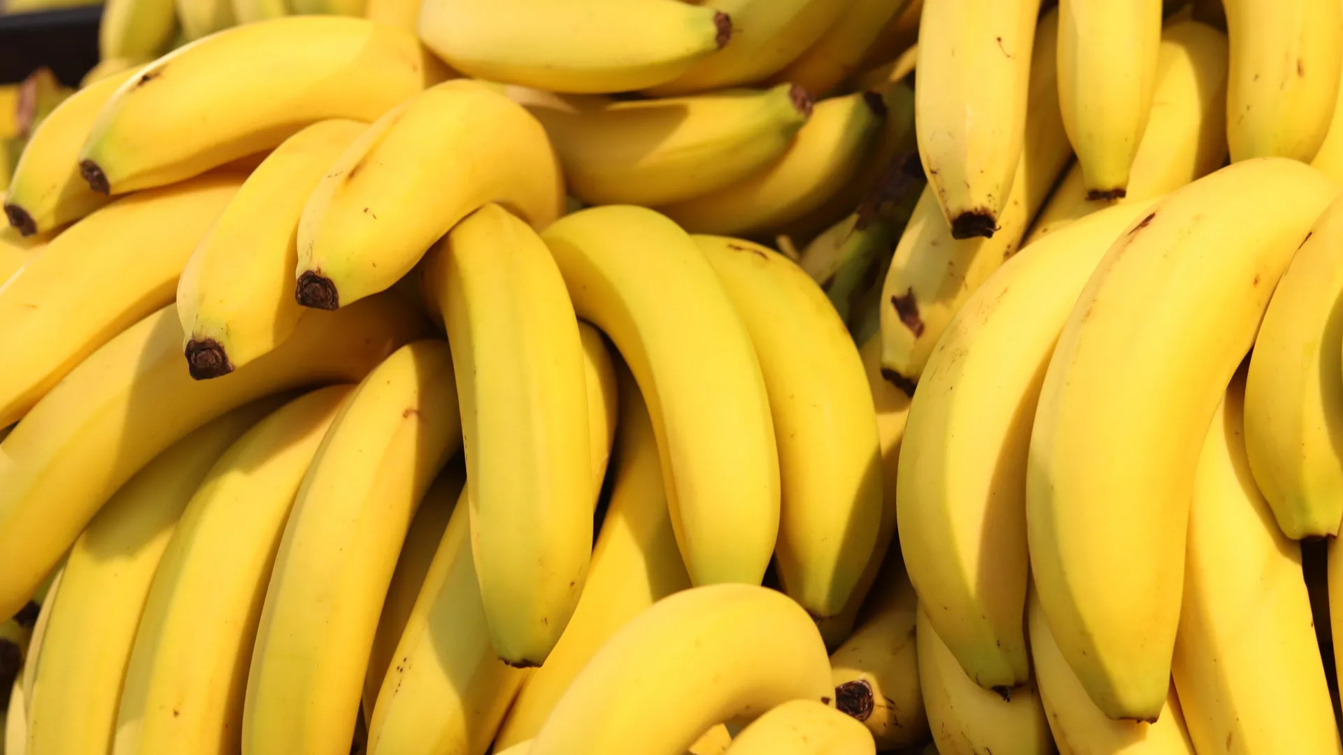 Lingering Shadow of Disaster: Brazilian Bananas Found to Harbor Toxic Metals, Posing Child Health Risks