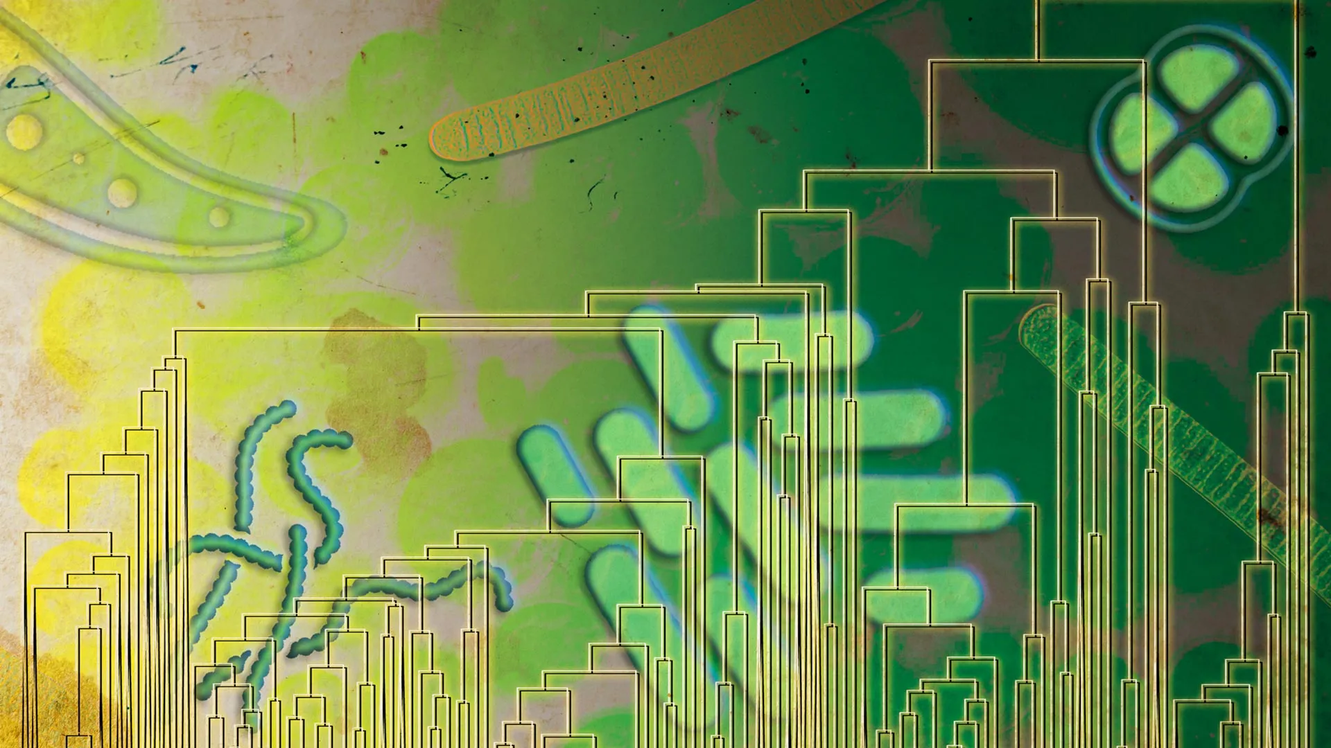 Primordial Organisms Pioneered Oxygen Respiration Eons Before Earth’s Atmosphere Transformed