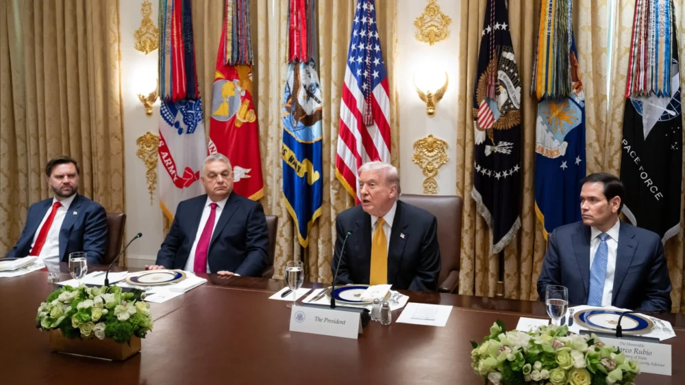 The Perilous Embrace: How MAGA’s Affinity for Europe’s Far-Right Could Backfire