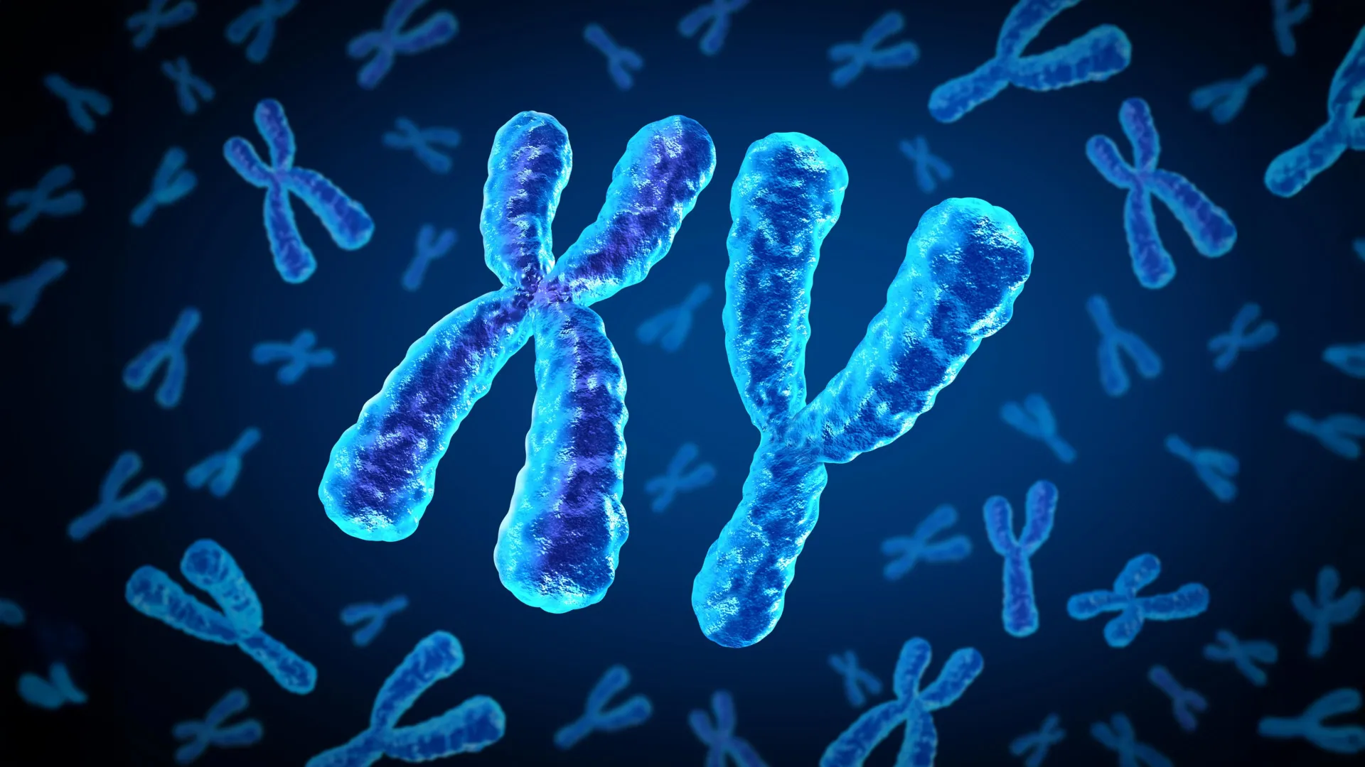 Unveiling Sex-Specific Vulnerabilities: How Hormonal Dynamics Shape Cardiovascular Risk in Type 2 Diabetes