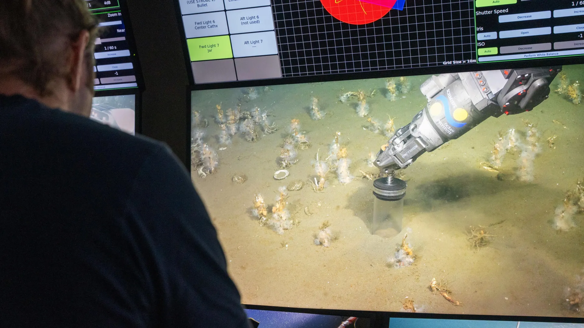 Unveiling the Aerobic Ancestor: A New Perspective on the Genesis of Complex Life