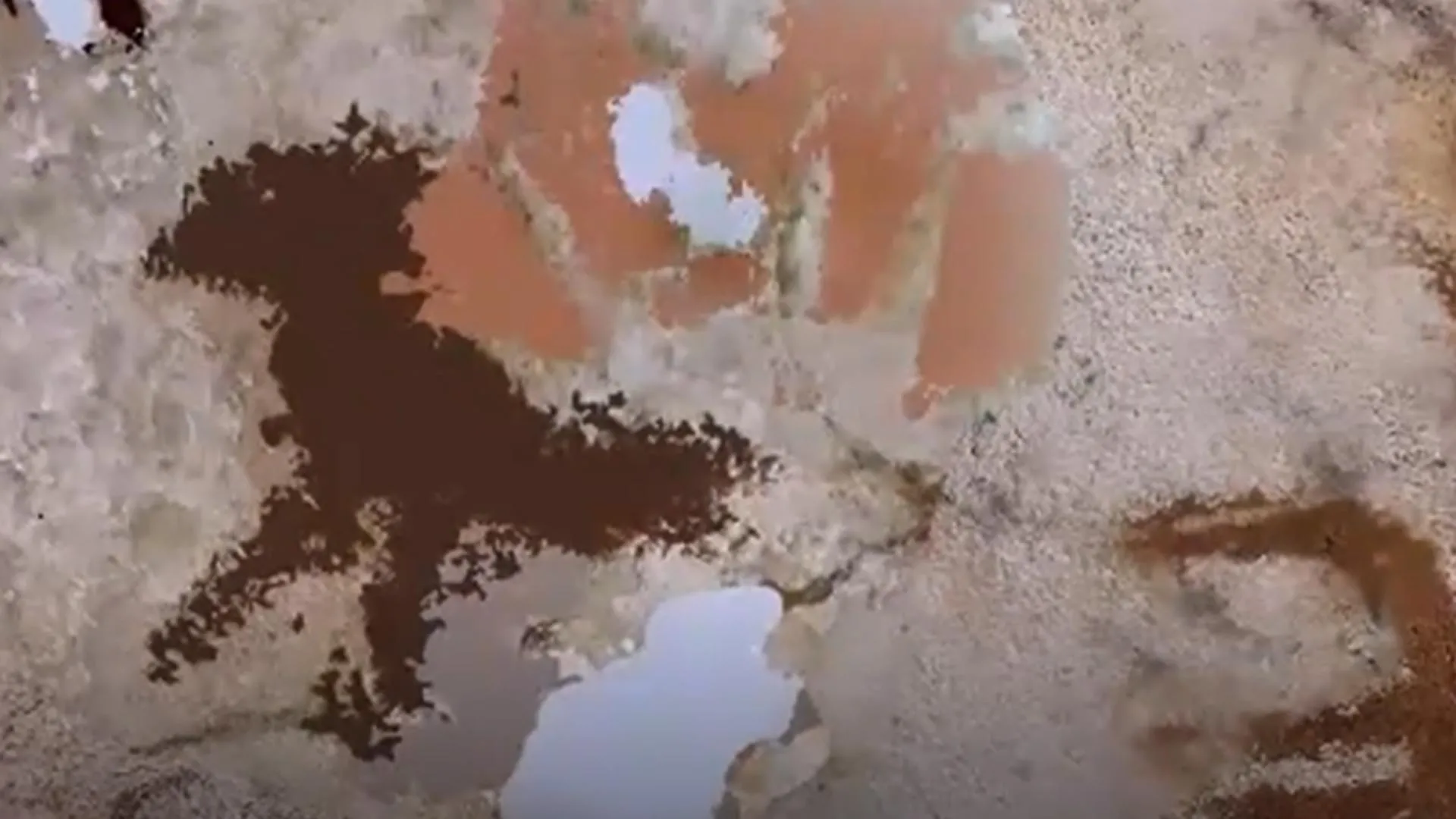 Ancient Echoes: Sulawesi Handprint Rewrites the Dawn of Human Artistic Expression and Global Migration