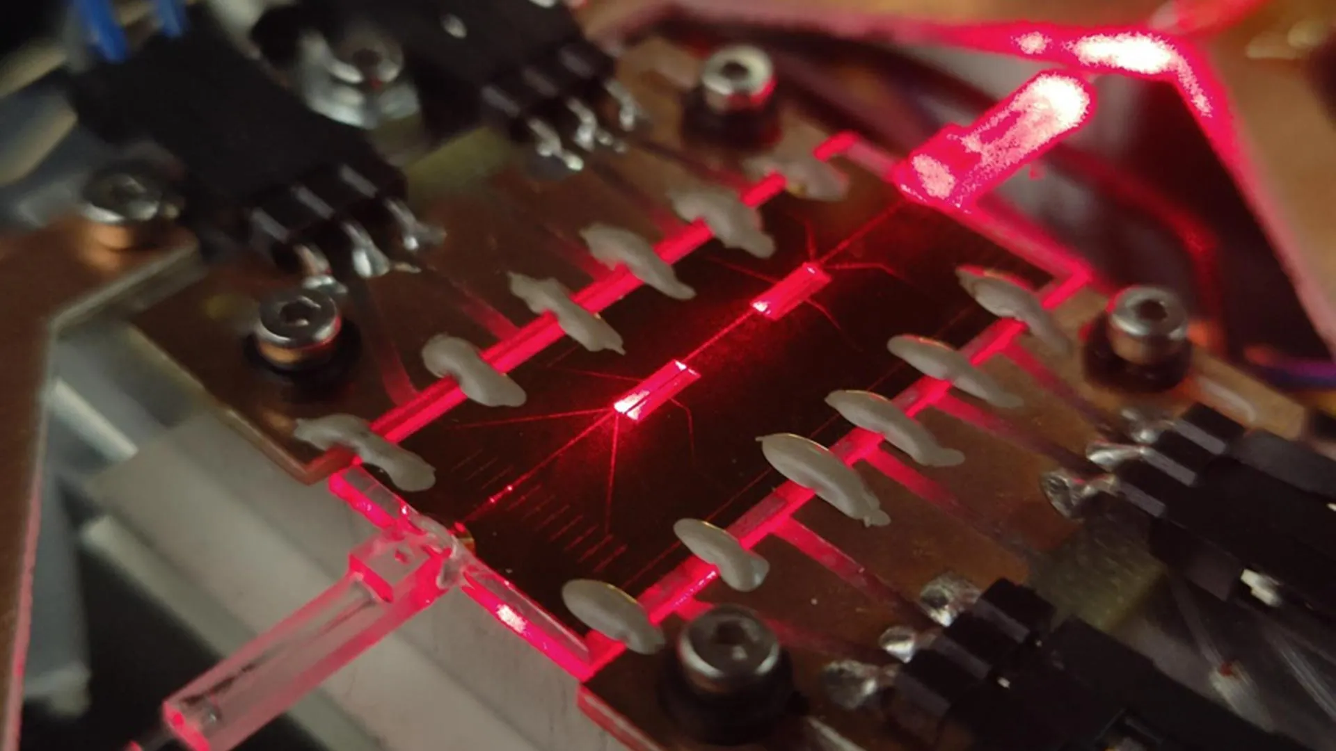 Precision Photonics: Unlocking Quantum Security with Laser-Sculpted Glass Circuits