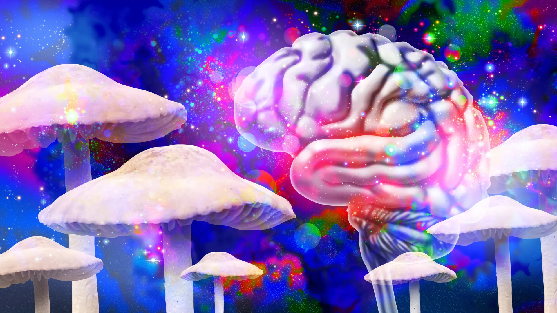 Psilocybin Unlocks Enduring Neural Reconfigurations, Suggesting a New Paradigm for Brain Health