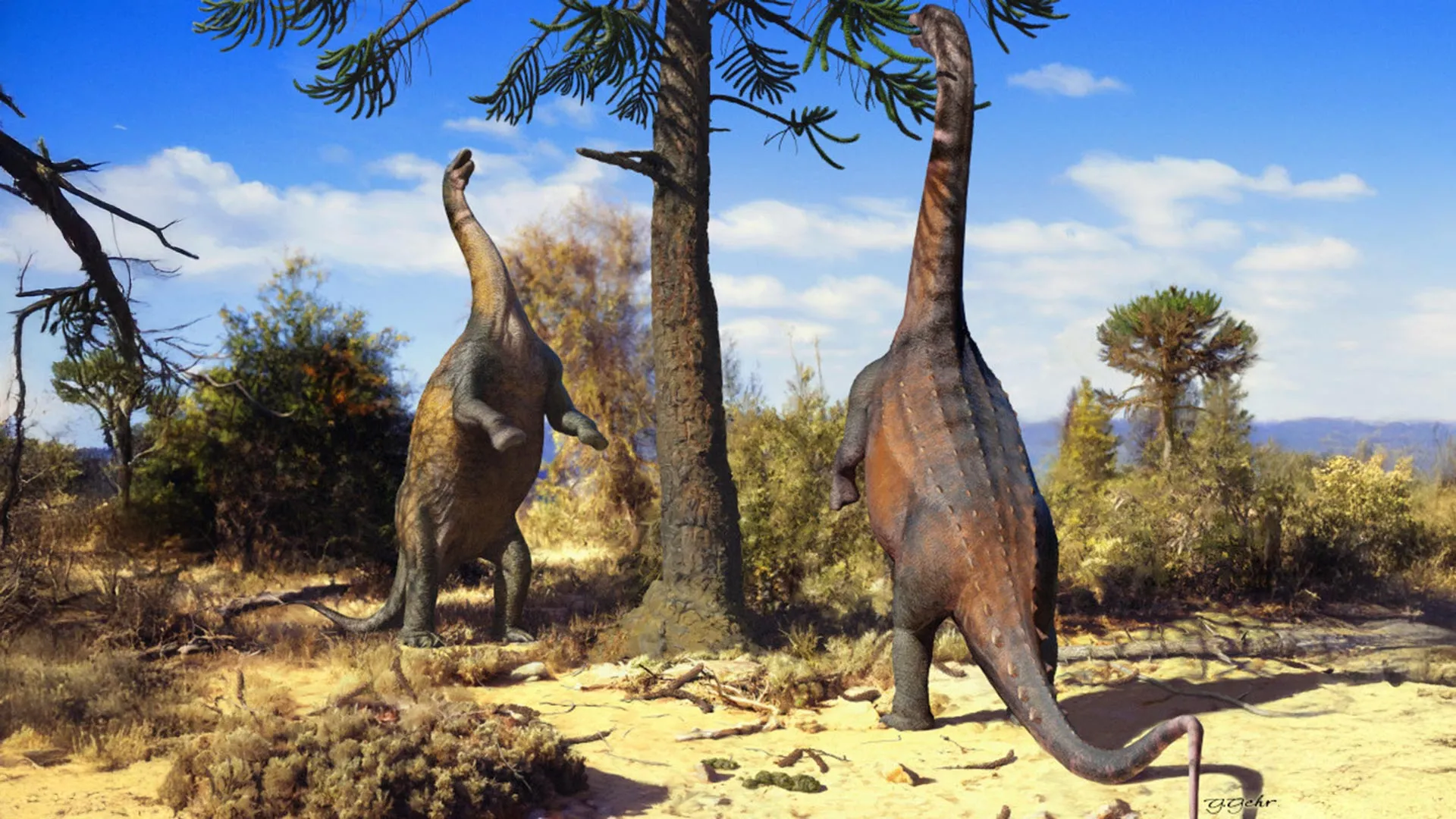 The Ephemeral Ascent: How Smaller Sauropods Reached for the Sky, Until Their Immense Size Became a Biomechanical Burden