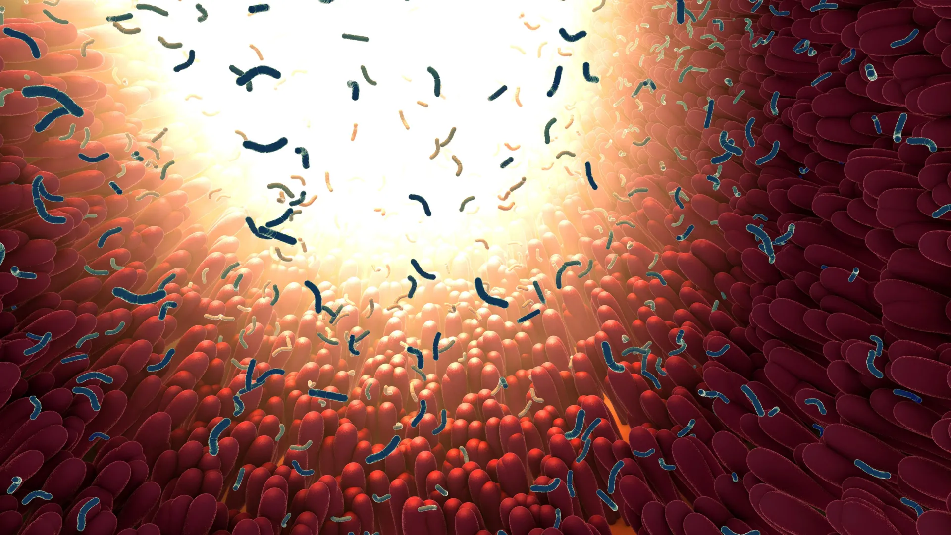 Unveiling the Microbiome’s Silent Dialogue: Sweeteners, Medications, and Unexpected Gut Interactions