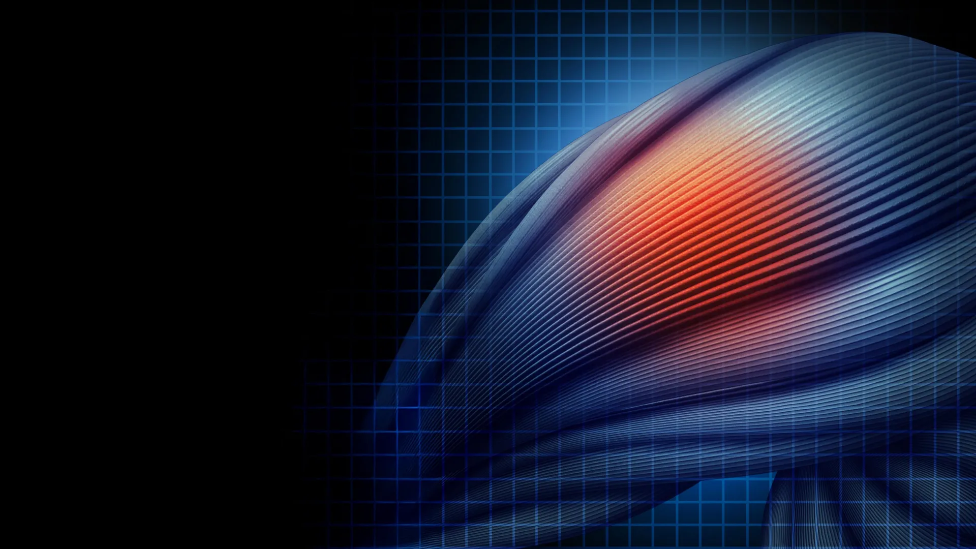 Crucial Protein Unveils Novel Role in Muscle Regeneration, Preventing Pathological Tissue Transformation