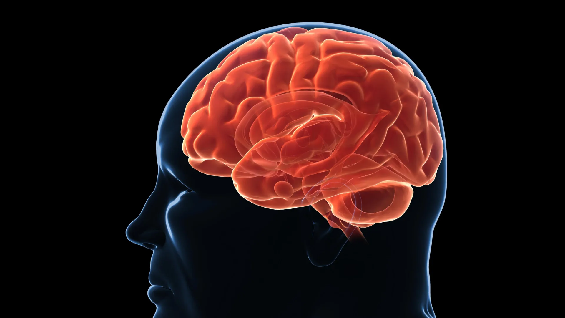 The Enduring Enigma of Adiposity: Unraveling the Brain’s Role in Weight Regulation and Recurrence