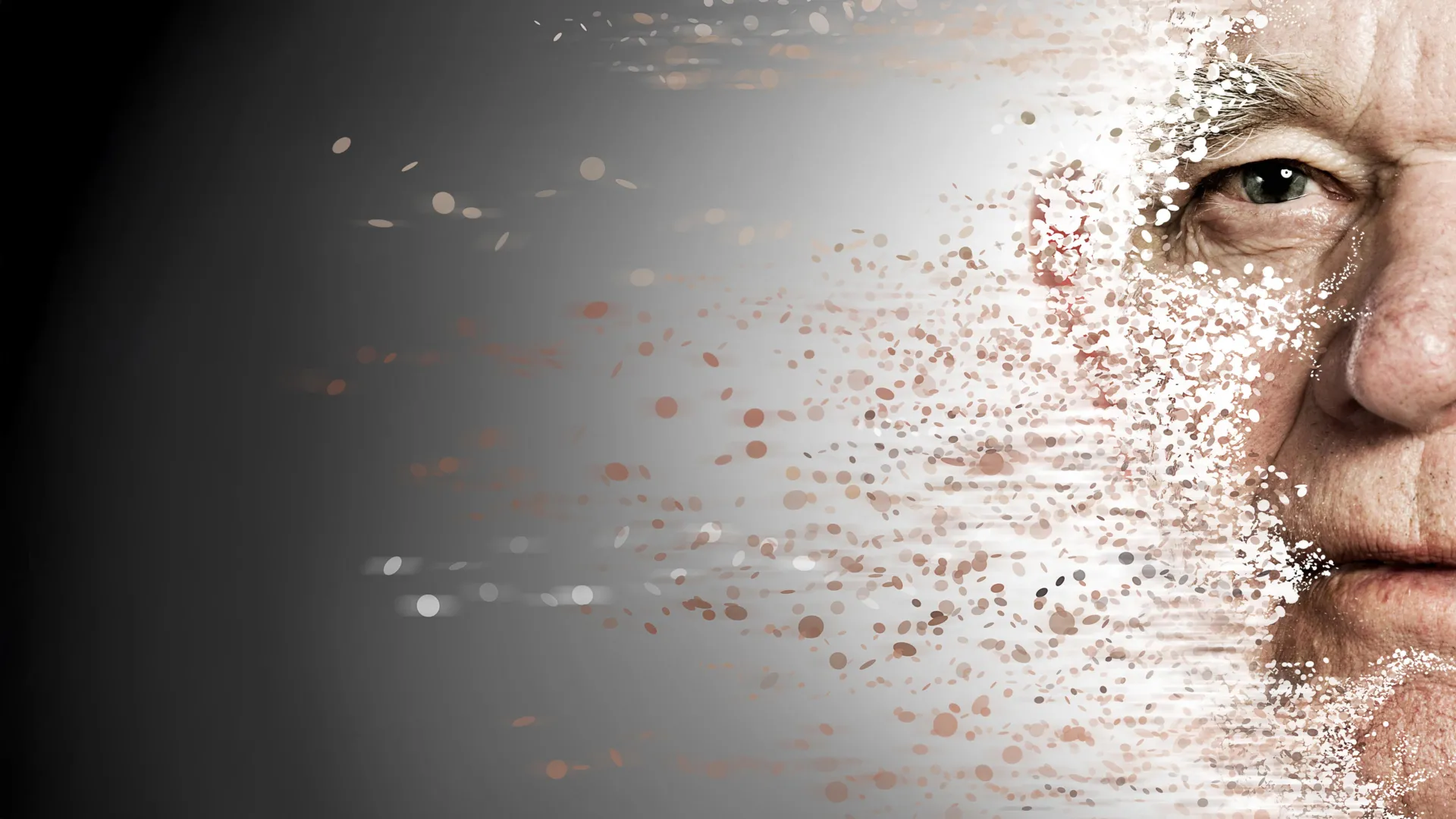 Misguided Immune Response Identified as Key Driver in Rapid Aging Syndromes