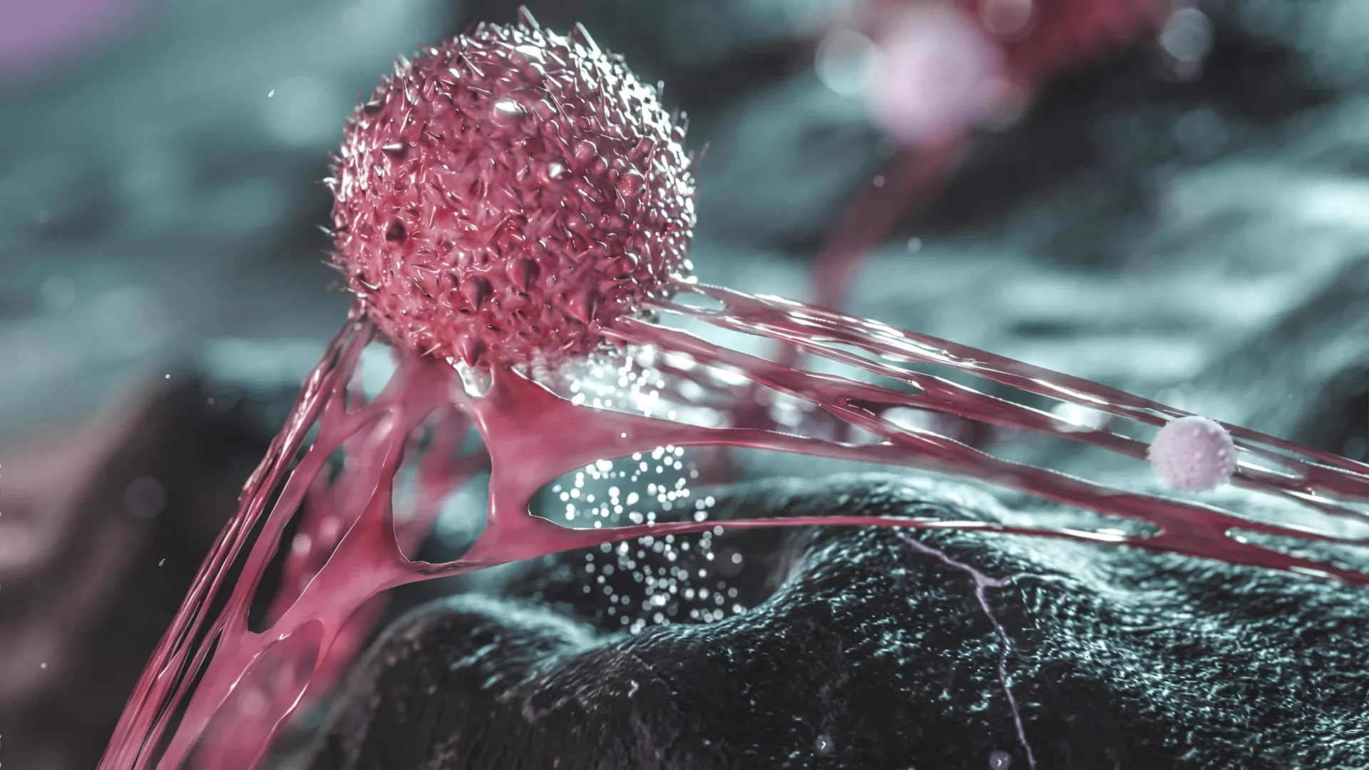 Unveiling Cancer’s Sanctuary: Breast Tumor Cells Found Shielded in Protective Niches