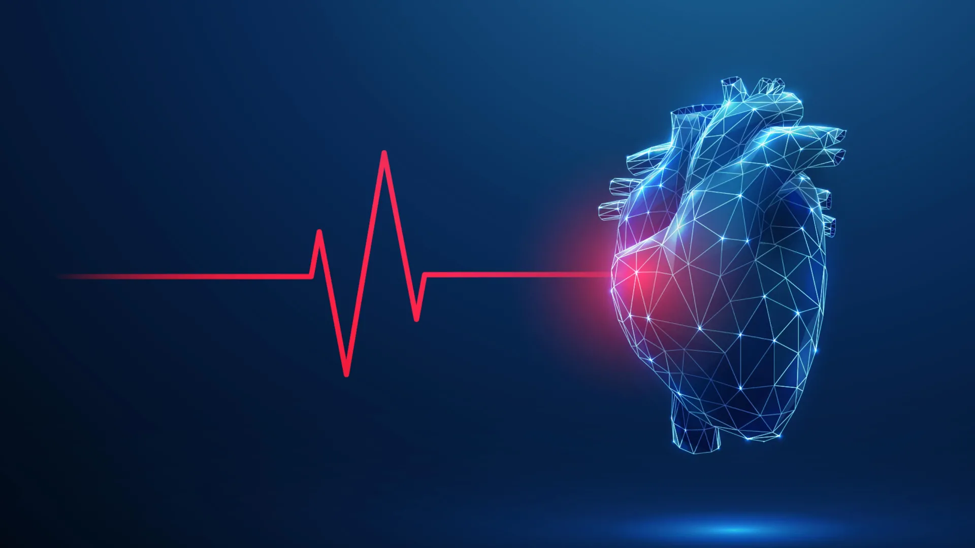 Cardiovascular Conditioning: Unveiling Exercise’s Profound Neural Remodeling of Cardiac Control Centers